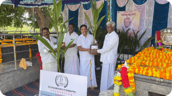 Distributed Coconut Plants